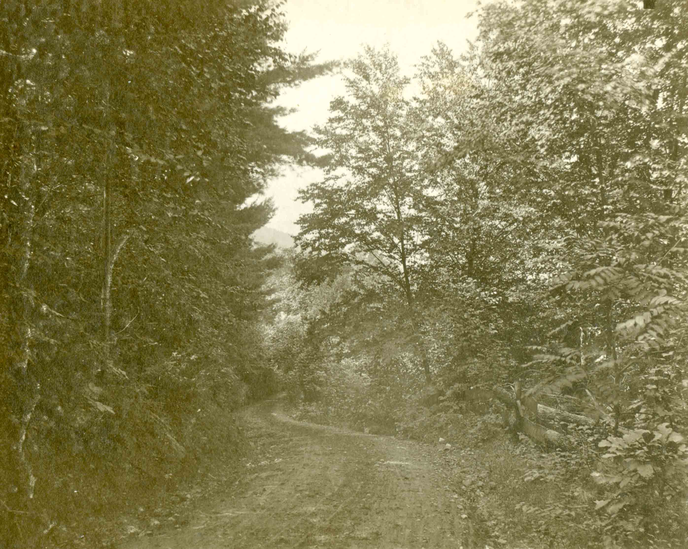 Woodlands, 1898-99